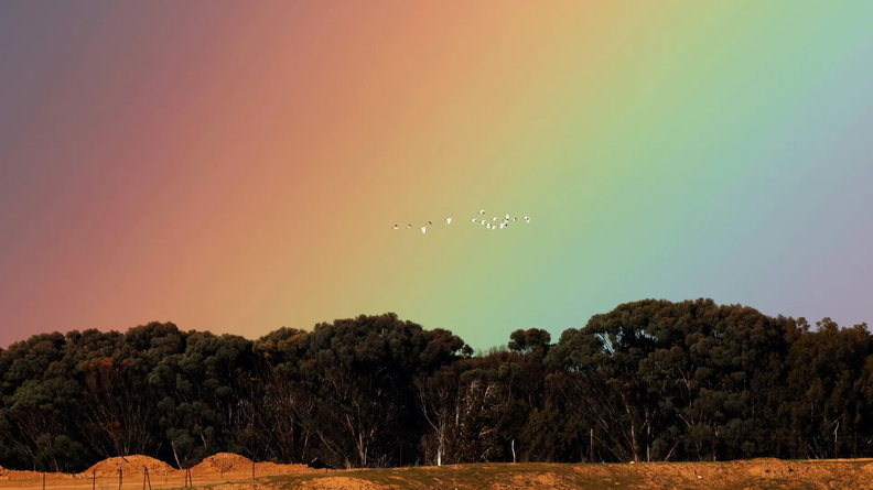 Birds fly over Gaza as the sky lights up with a rainbow, Israel